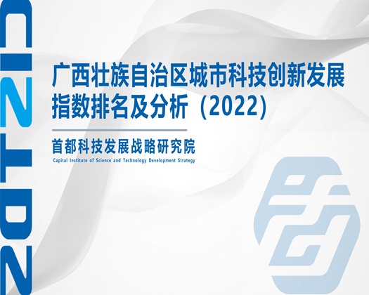 美女被大鸡巴操免费视频【成果发布】广西壮族自治区城市科技创新发展指数排名及分析（2022）